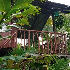  Alloggio per agriturismo Sigiri Panaromic Tree House Sri Lanka