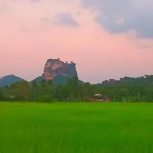 View , Sigiriya Sri Lanka